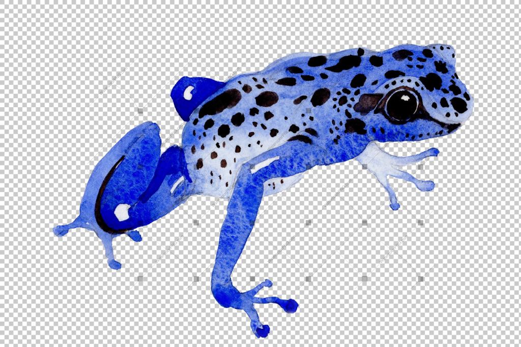 blue frog clipart