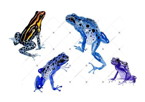 Blue Frog Png Watercolor Set Digital