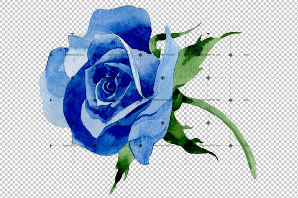 Blue Rose Wildflower Flower In A Hand-Drawn Watercolor Png Style Isolated Flower
