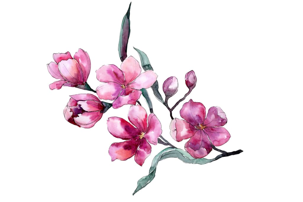 Bouquet of flowers Fiona pink watercolor png