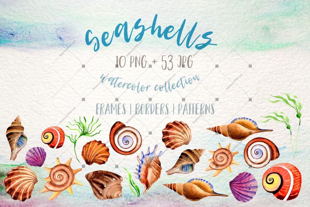 Watercolor summer beach seashell PNG set – WatercolorPNG