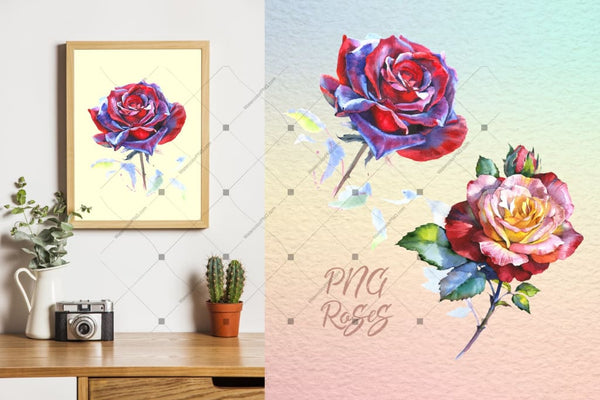 Realistic Watercolor Red Roses Png Set Digital