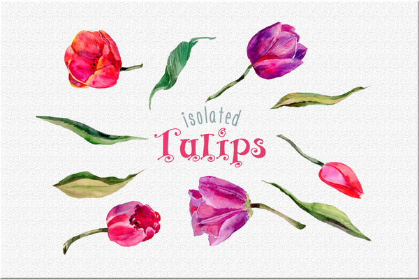 Tulips PNG watercolor flower set