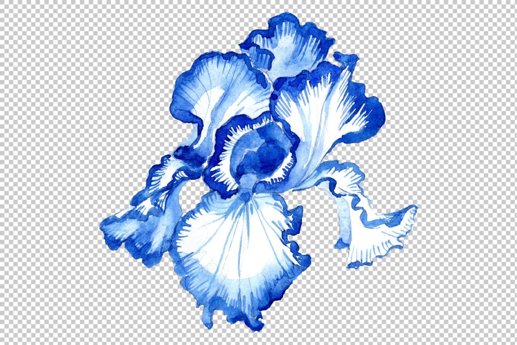 Two Watercolor Blue Flowers Stock Illustration - Download Image Now - Iris  - Plant, Flower, Watercolor Painting - iStock