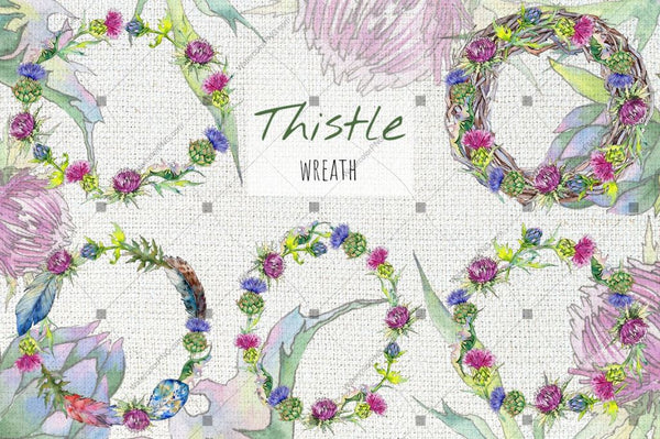 Thistle Flowers Collection Png Watercolor Set Digital