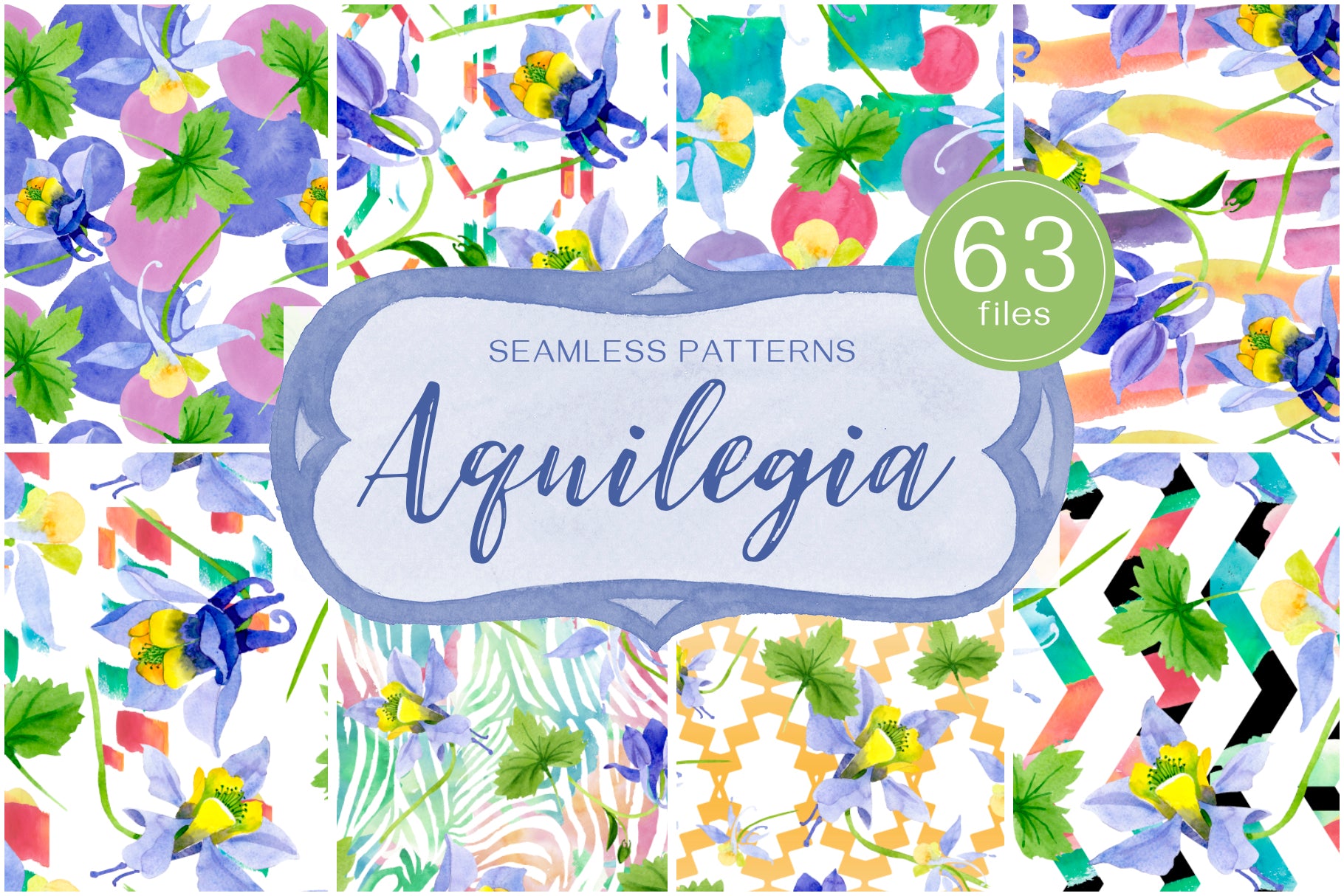 Columbine or Aquilegia flower watercolor png