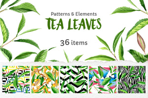 Green Tea Leaves Watercolor png
