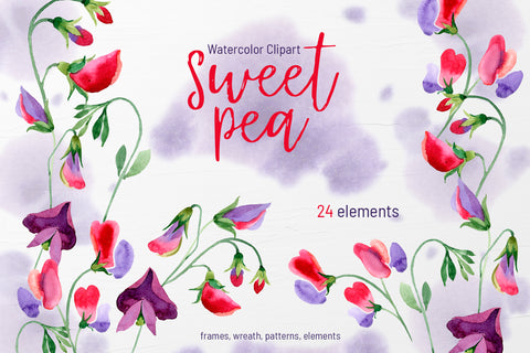 Watercolor Flowers Sweet Pea PNG