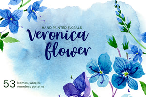 Veronica flower blue watercolor png