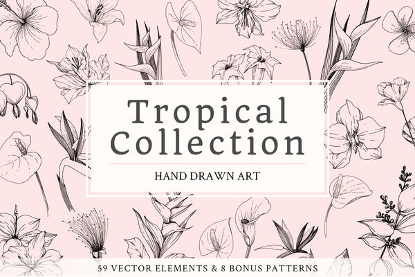Vector - Tropical leaves and flowers