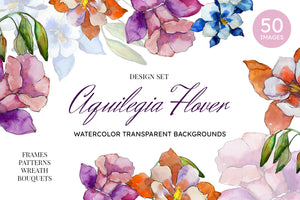 Aquilegia flowers velvet season watercolor png PNG