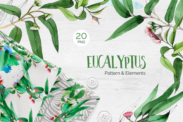 Eucalyptus branch Watercolor png