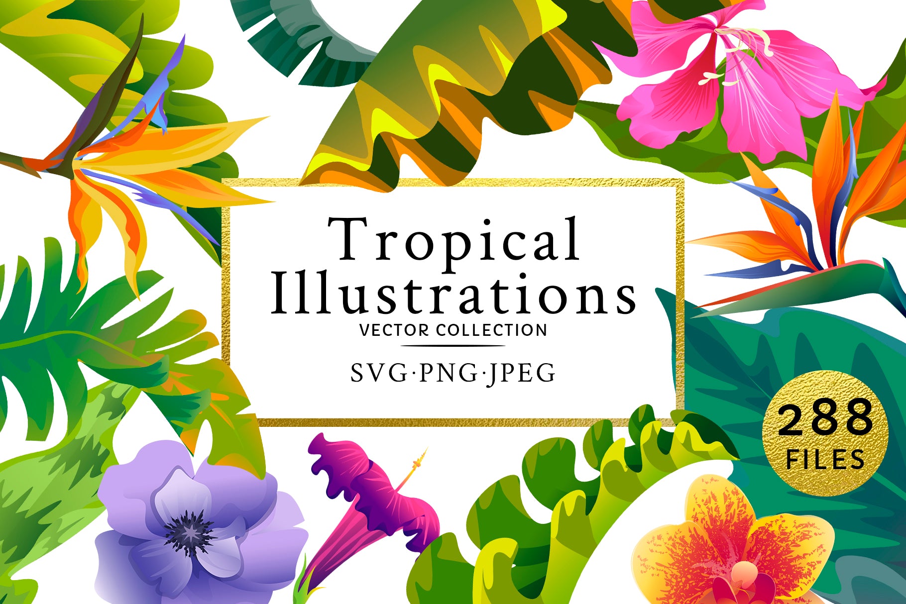 tropical flower illustration