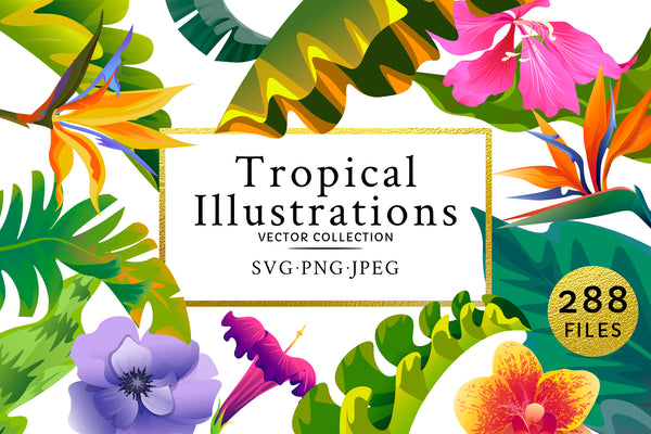 Flowers Tropical Illustration Pack Watercolor png