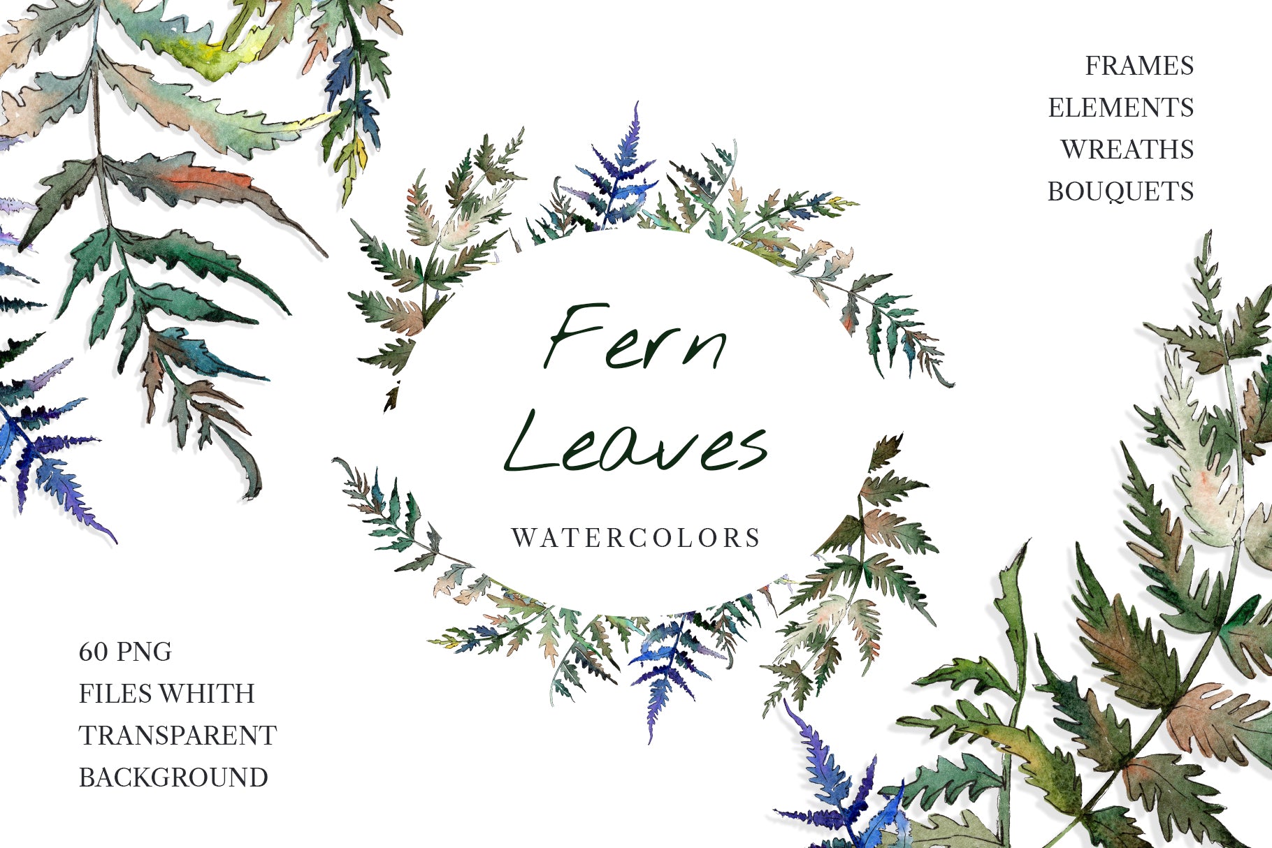 Fern leaf clipart watercolor png