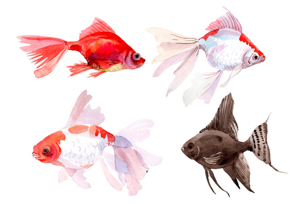 Fairytale Red Goldfish Watercolor PNG