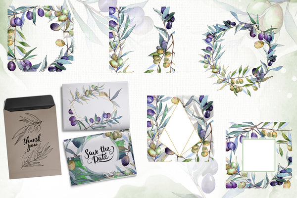 Olive branches collection  Watercolor png