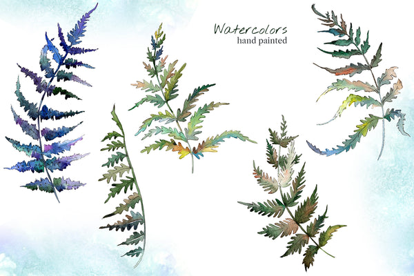 Fern leaf clipart watercolor png