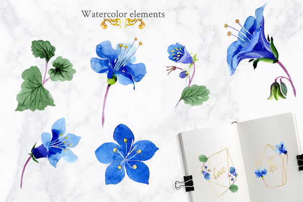 Phacelia or Bellflowers watercolor clipart blue png