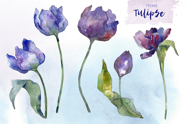 Bouquet of flowers tulips blue penny lane watercolor png