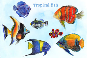 Tropical fish watercolor png