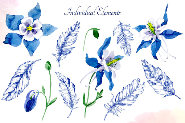 Watercolor flower Aquilegia blue png