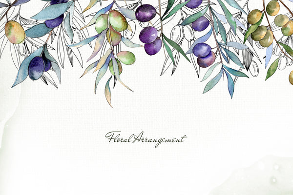 Olive branches collection  Watercolor png