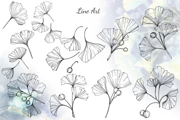 Green Ginkgo leaves Watercolor and Vector clipart png