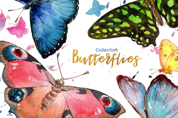 Miracle of nature butterflies watercolor png