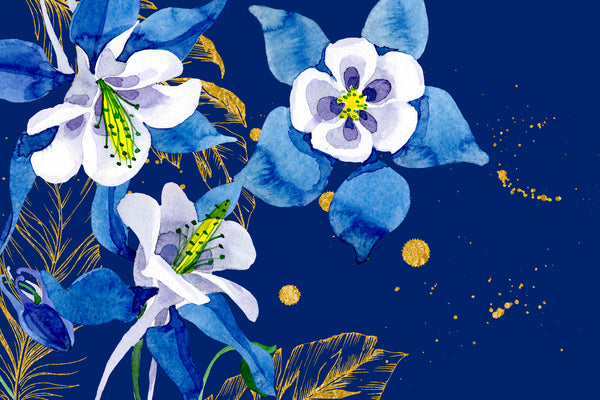Watercolor flower Aquilegia blue png