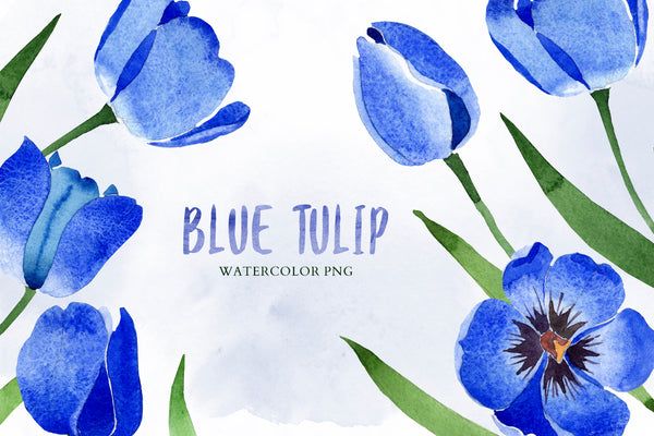 Tulip watercolor clipart Blue png