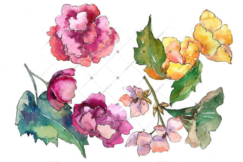 Gardenia Colorful Flower Png Watercolor Set Flower