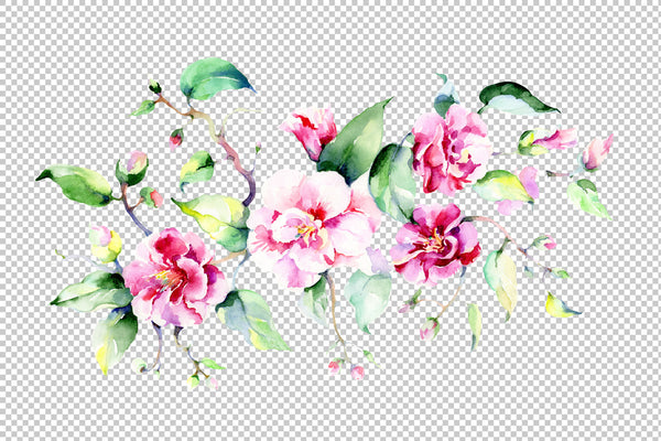 Bouquet pink roses PNG watercolor flowers set
