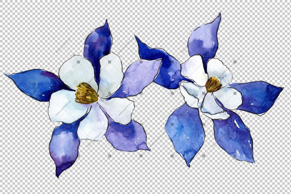 Blue Aquilegia Flower Png Watercolor Set Flower