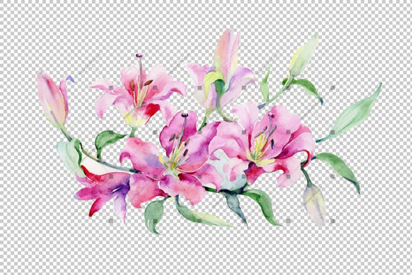 Bouquet Of Pink Lilies Png Watercolor Set Flower