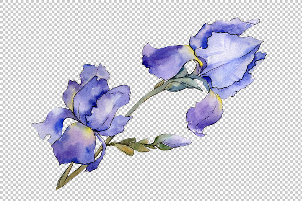 Eurobuket Irises blue watercolor png