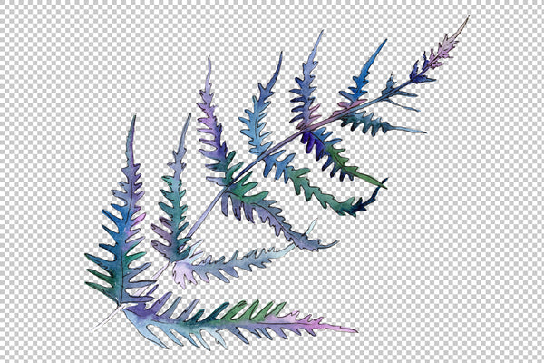 Fern plant watercolor png