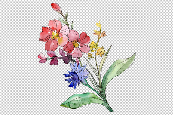 Wildflowers the beauty Watercolor png