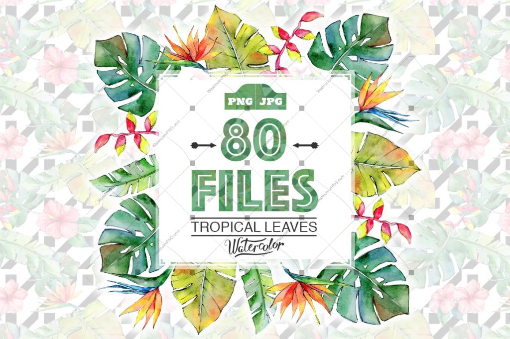 Tropical Leaves Png Watercolor Set Digital