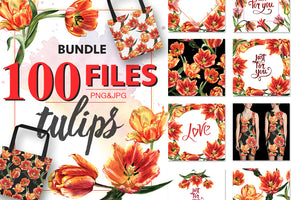 Tulip red PNG watercolor flower set