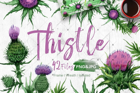 Thistle Flowers Png Watercolor Set Digital