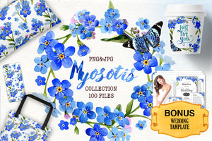 Myosotis flowers blue PNG watercolor set