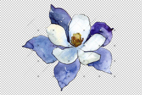 Blue Aquilegia Flower Png Watercolor Set Flower