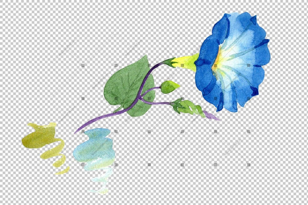 Elegant Ipomoea Blue Flower Png Watercolor Set Flower