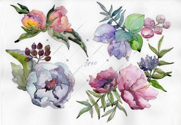 Delicate Bouquets Of Flowers Png Set Flower