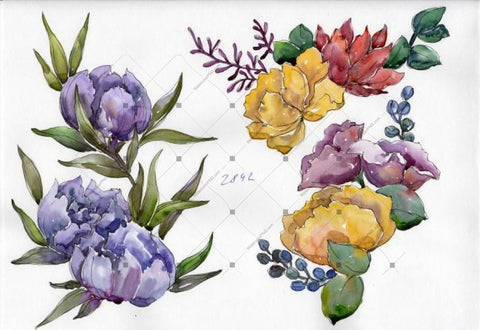 Bouquet Tropical Flower Png Watercolor Set Flower