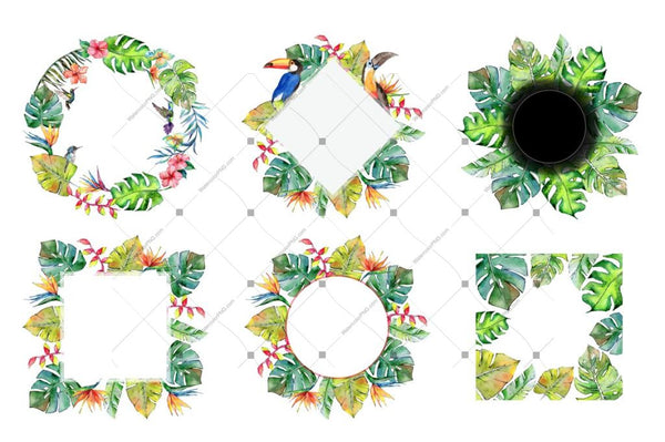 Tropical Leaves Png Watercolor Set Digital