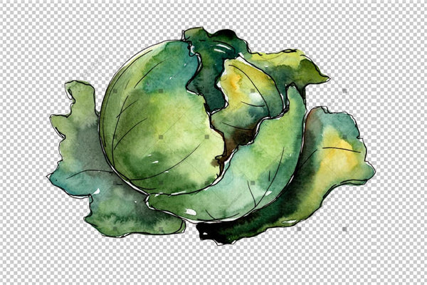 Green Cabbage Vegetables Png Watercolor Set Design