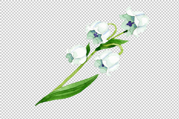 lily of the valley and forget-me-nots Watercolor png