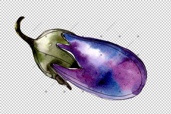 Watercolor Purple Eggplant Vegetable Png Set Digital